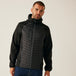 Black Seal Grey