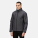 Seal Grey
