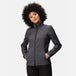 Black Seal Grey