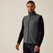Seal Grey
