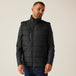 Black Seal Grey
