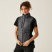 Black Seal Grey
