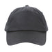 Seal Grey