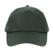 Dark Cedar Green