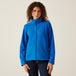 Royal Blue Navy