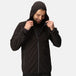 Black Seal Grey