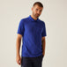 Royal Blue Navy