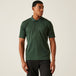 Dark Cedar Green