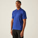 Royal Blue Navy