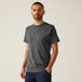 Seal Grey