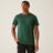 Dark Cedar Green