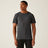 Seal Grey